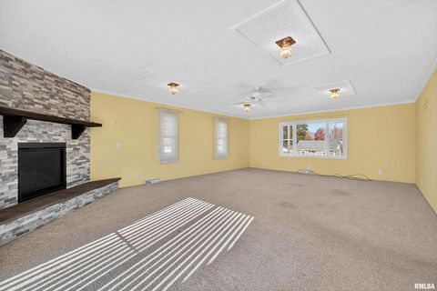 Tiny photo for 304 4TH Avenue, Colona, IL 61241 (MLS # QC4269537)