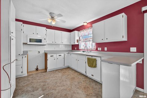 Tiny photo for 304 4TH Avenue, Colona, IL 61241 (MLS # QC4269537)