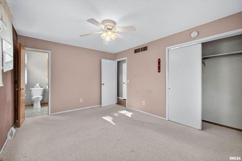 Tiny photo for 304 4TH Avenue, Colona, IL 61241 (MLS # QC4269537)