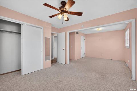 Tiny photo for 304 4TH Avenue, Colona, IL 61241 (MLS # QC4269537)