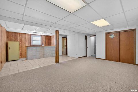 Tiny photo for 304 4TH Avenue, Colona, IL 61241 (MLS # QC4269537)