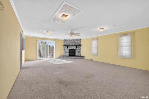 Tiny photo for 304 4TH Avenue, Colona, IL 61241 (MLS # QC4269537)