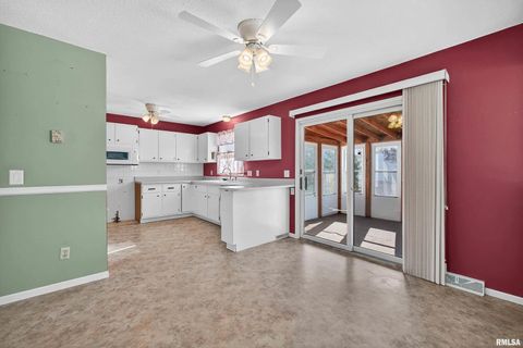 Tiny photo for 304 4TH Avenue, Colona, IL 61241 (MLS # QC4269537)