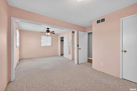 Tiny photo for 304 4TH Avenue, Colona, IL 61241 (MLS # QC4269537)