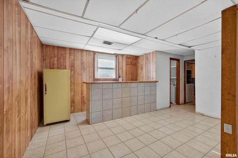 Tiny photo for 304 4TH Avenue, Colona, IL 61241 (MLS # QC4269537)