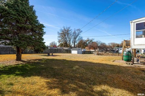Tiny photo for 304 4TH Avenue, Colona, IL 61241 (MLS # QC4269537)