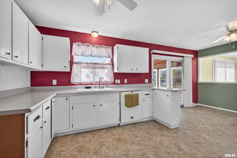 Tiny photo for 304 4TH Avenue, Colona, IL 61241 (MLS # QC4269537)