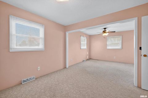 Tiny photo for 304 4TH Avenue, Colona, IL 61241 (MLS # QC4269537)