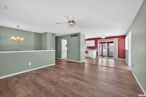 Tiny photo for 304 4TH Avenue, Colona, IL 61241 (MLS # QC4269537)