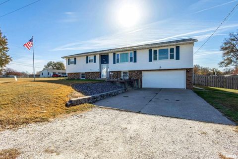 Tiny photo for 304 4TH Avenue, Colona, IL 61241 (MLS # QC4269537)