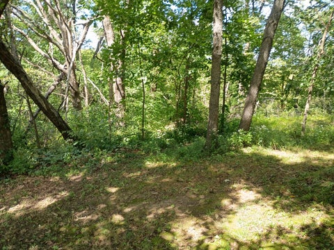 Tiny photo for 15322 20th Street Court W, Milan, IL 61264 (MLS # 12758918)