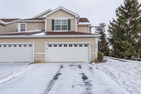 367 N Carlisle Court Round Lake IL 60073