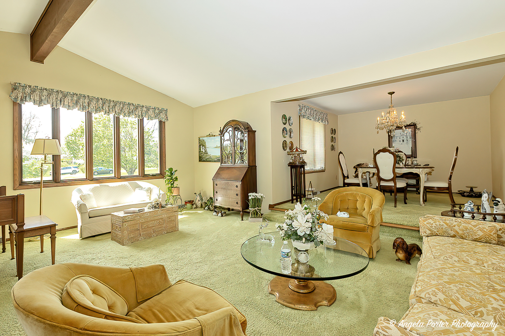 1408 Appaloosa Trail