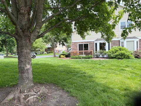 Tiny photo for 1511 Barrymore Drive, Darien, IL 60561 (MLS # 12654789)