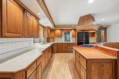 Tiny photo for 320 W 3rd Street, Prophetstown, IL 61277 (MLS # 12674244)