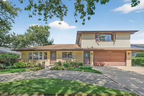 228 E Kathleen Drive Park Ridge IL 60068