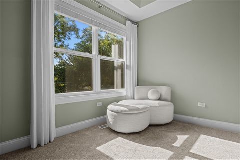 Tiny photo for 225 N Mill Street, Naperville, IL 60540 (MLS # 12494394)