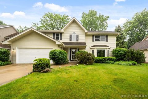 2556 Leach Drive Naperville IL 60564