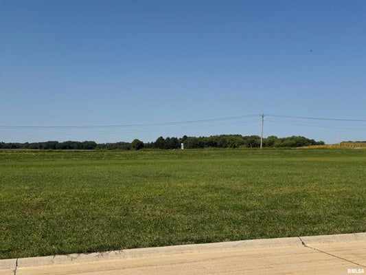 825 BOOK LN, GENESEO, IL 61254 - Image a3df5f9f65cb433bc4a7eee65c1abbda/2939614205