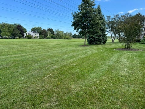 Tiny photo for 277 E Fabish Drive #277, Buffalo Grove, IL 60089 (MLS # 12744960)