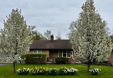 Photo of 2407 Melrose Avenue, Waukegan, IL 60085 (MLS # 12763045)