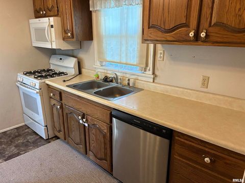 Tiny photo for 422 45TH Street, Moline, IL 61265 (MLS # QC4268899)