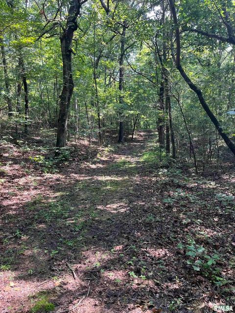 Tiny photo for 5504 MARION Road, Metropolis, IL 62960 (MLS # EB454274)