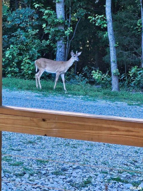 Tiny photo for 5504 MARION Road, Metropolis, IL 62960 (MLS # EB454274)