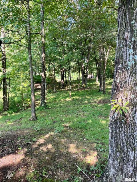 Tiny photo for 5504 MARION Road, Metropolis, IL 62960 (MLS # EB454274)