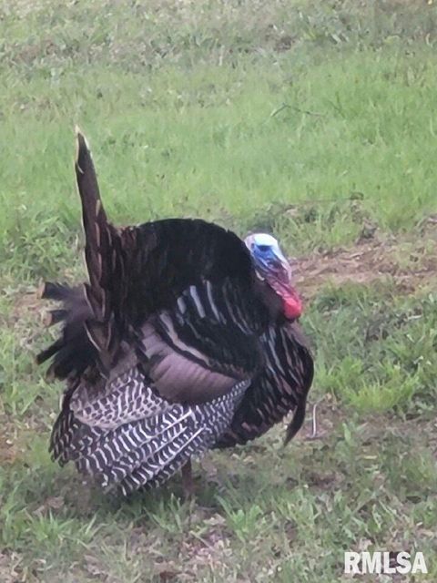 Tiny photo for 5504 MARION Road, Metropolis, IL 62960 (MLS # EB454274)