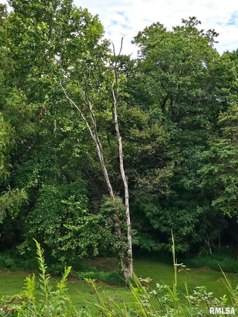 Tiny photo for 5504 MARION Road, Metropolis, IL 62960 (MLS # EB454274)