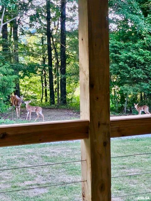 Tiny photo for 5504 MARION Road, Metropolis, IL 62960 (MLS # EB454274)