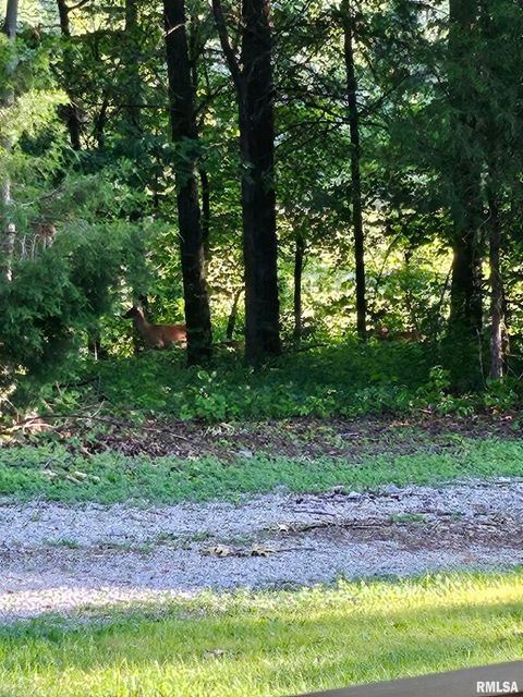 Tiny photo for 5504 MARION Road, Metropolis, IL 62960 (MLS # EB454274)