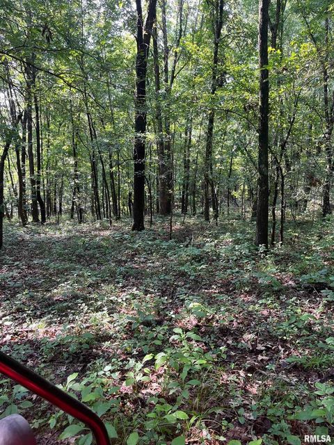 Tiny photo for 5504 MARION Road, Metropolis, IL 62960 (MLS # EB454274)