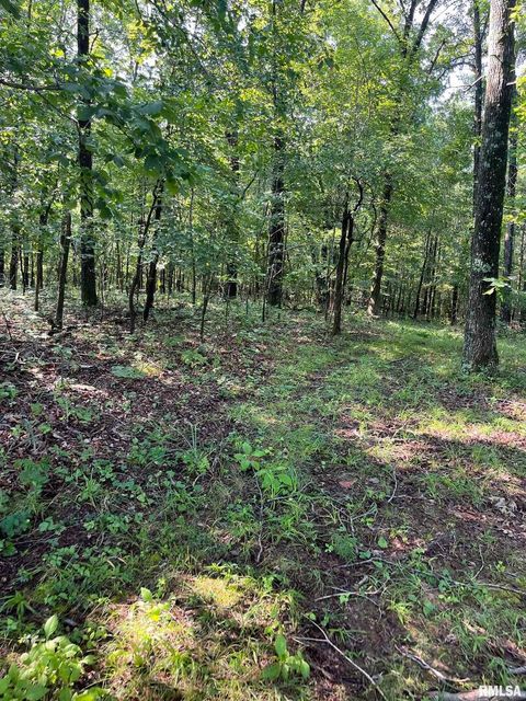 Tiny photo for 5504 MARION Road, Metropolis, IL 62960 (MLS # EB454274)