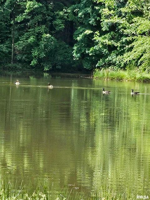 Tiny photo for 5504 MARION Road, Metropolis, IL 62960 (MLS # EB454274)