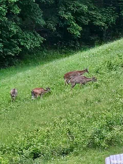 Tiny photo for 5504 MARION Road, Metropolis, IL 62960 (MLS # EB454274)