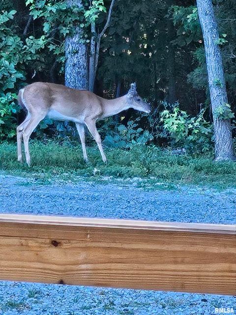 Tiny photo for 5504 MARION Road, Metropolis, IL 62960 (MLS # EB454274)