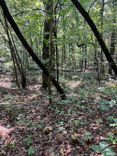 Tiny photo for 5504 MARION Road, Metropolis, IL 62960 (MLS # EB454274)