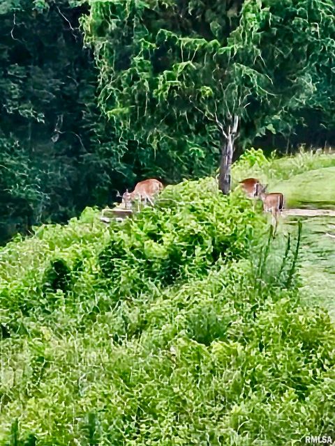 Tiny photo for 5504 MARION Road, Metropolis, IL 62960 (MLS # EB454274)