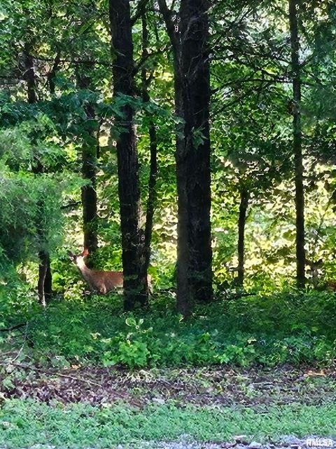 Tiny photo for 5504 MARION Road, Metropolis, IL 62960 (MLS # EB454274)