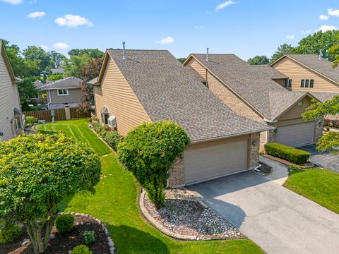 9029 Del Prado Drive Palos Hills IL 60465