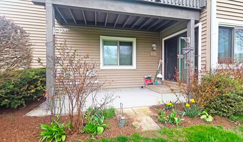 Tiny photo for 111 Autumn Court #111, Buffalo Grove, IL 60089 (MLS # 12617148)