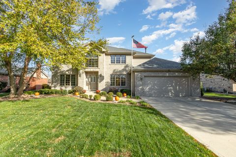2862 Mckenna Drive New Lenox IL 60451