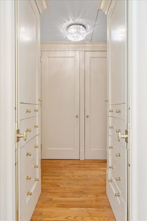 Tiny photo for Chicago, IL 60611 (MLS # 12485530)