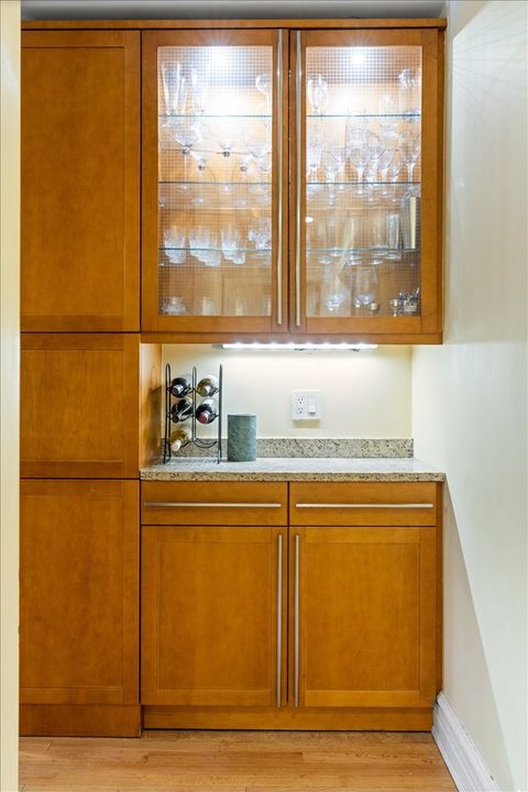 Tiny photo for Chicago, IL 60611 (MLS # 12485530)