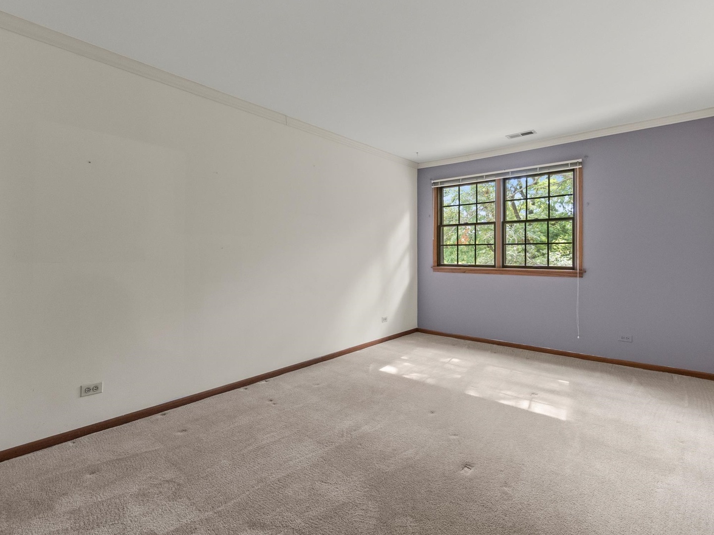 23W501 Green Trails Drive
