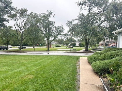 Tiny photo for 19519 116th Avenue #B, Mokena, IL 60448 (MLS # 12738009)