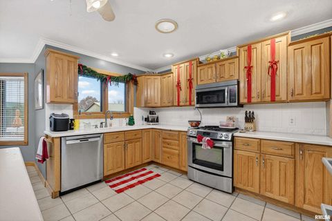 Tiny photo for 20664 BRADY Street, Davenport, IA 52806 (MLS # QC4269681)