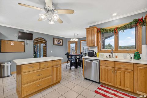 Tiny photo for 20664 BRADY Street, Davenport, IA 52806 (MLS # QC4269681)